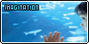 Imagination