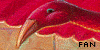 Fawkes